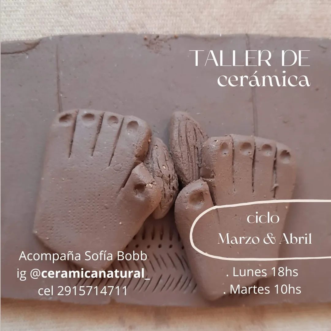 Taller Raíz Americana